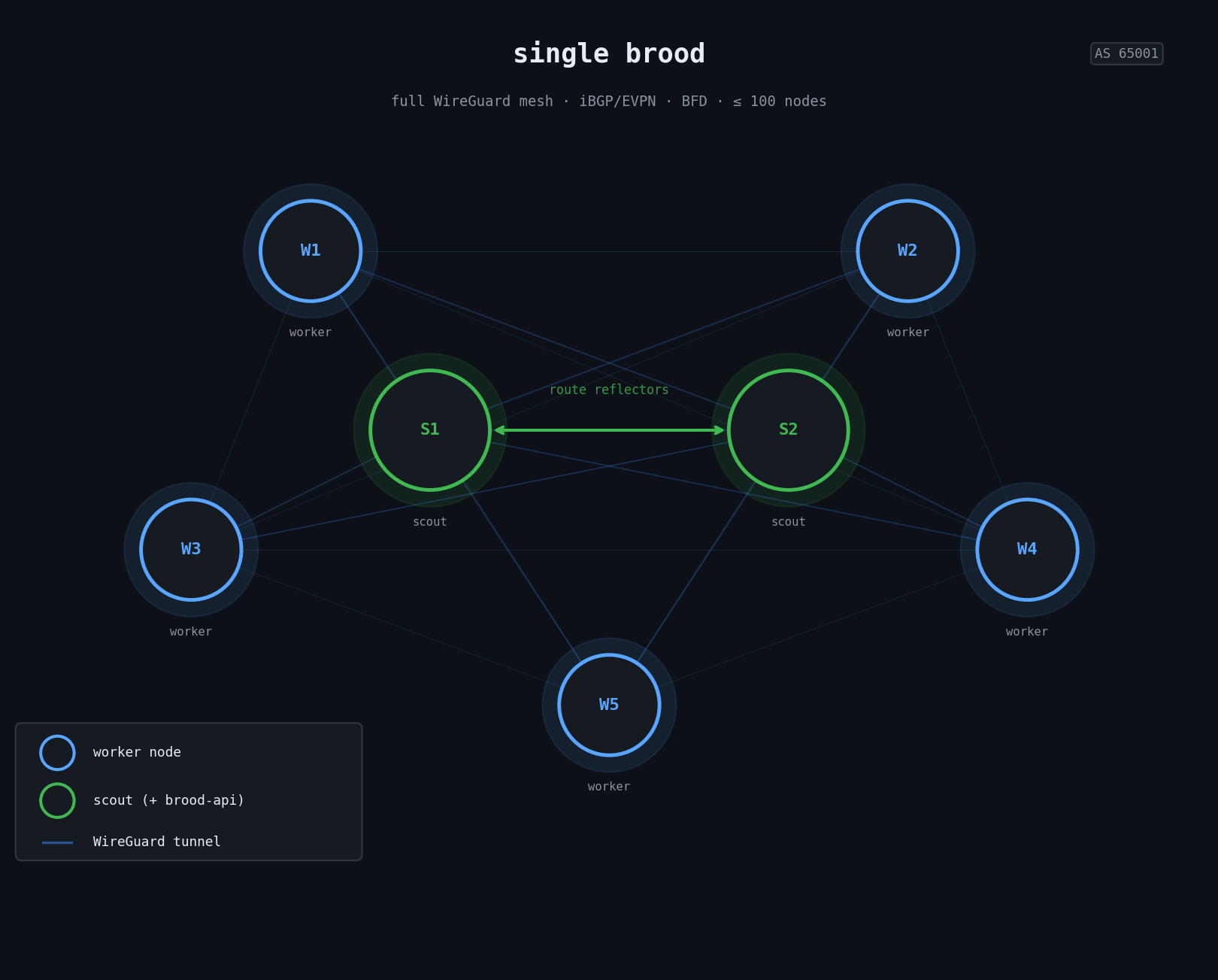 Single brood full WireGuard mesh diagram